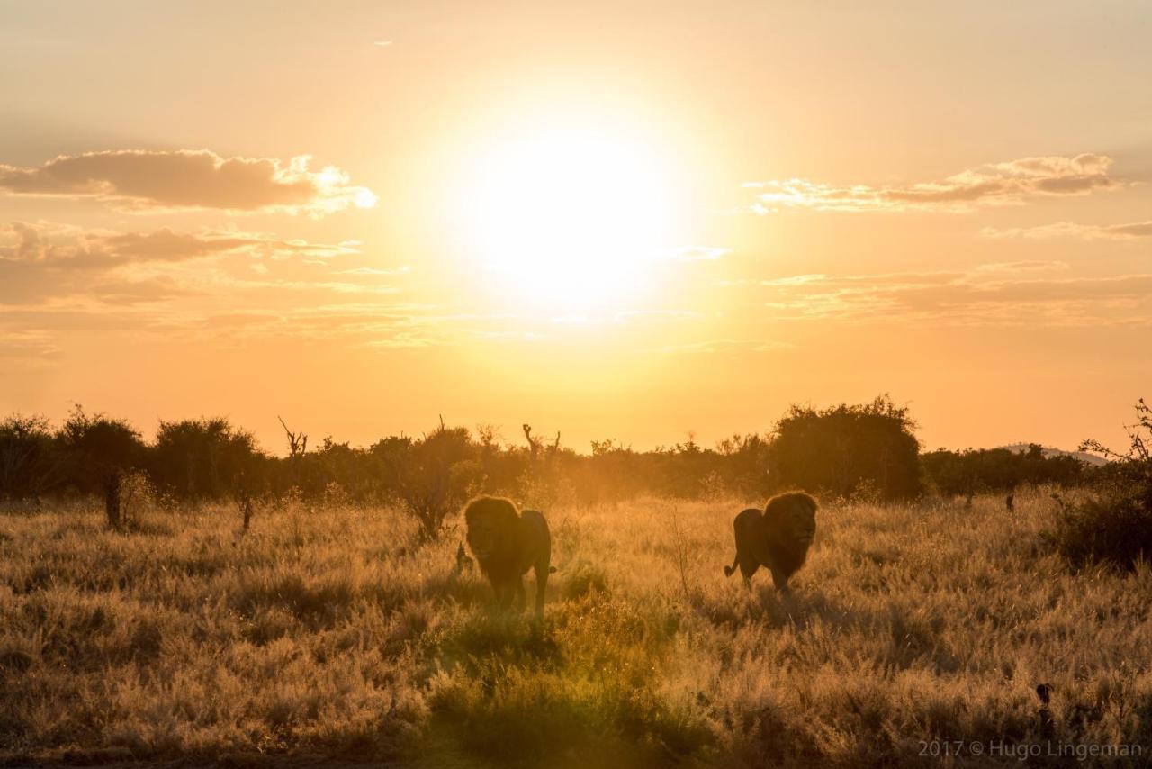 Woodlands Lodge & Tours Livingstone Eksteriør bilde