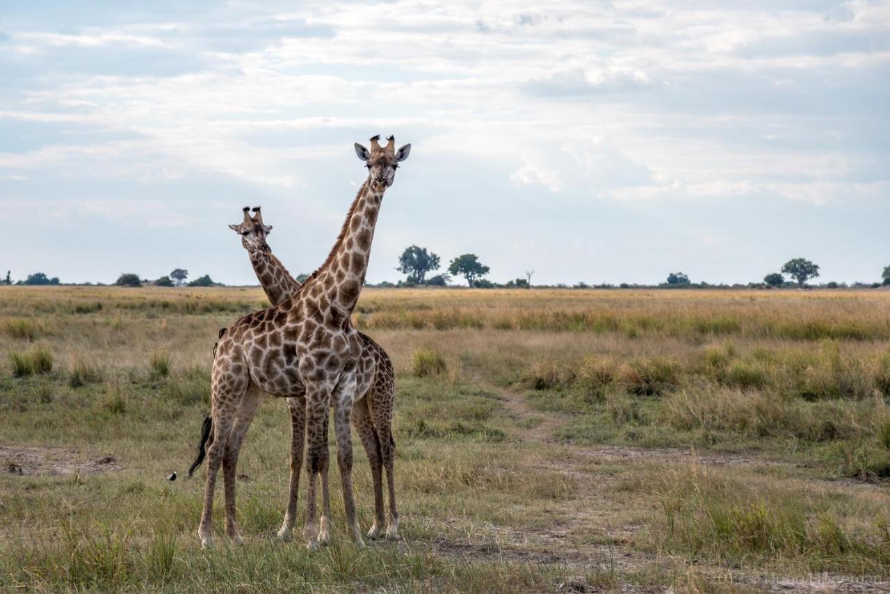 Woodlands Lodge & Tours Livingstone Eksteriør bilde